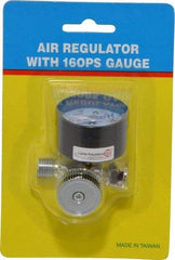 PRO-SOURCE - 1/4 NPT Port, Zinc Dial Air Regulator - 10 to 120 psi Range, 120 Max psi Supply Pressure, 1/4" Gauge Port Thread, 1.97" Wide x 1.97" High - Apex Tool & Supply
