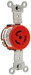Leviton - 125 VAC, 15 Amp, 5-15R NEMA, Self Grounding Receptacle - 2 Poles, 3 Wire, Female End, Orange - Apex Tool & Supply