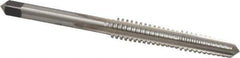 Made in USA - 3/8-12, Right Hand Thread, 2-1/4" Thread Length, Acme Thread Tap - 4 Flutes, Spiral Flute, 4-1/4" Overall Length, 2G Class of Fit, Plug Chamfer - Apex Tool & Supply