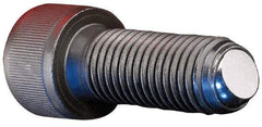 Gibraltar - 2" OAL, 1/2-13, Stainless Steel, Headed Plain Flat Face Ball End Clamping Screw - 0.29" Ball Diam - Apex Tool & Supply
