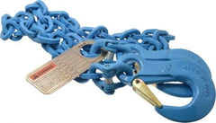 Pewag - 5' Long, 5,200 Lb Basket Capacity, 5,200 Lb Vertical Capacity, 1 Ply, Alloy Steel Web Sling - 4,500 Lb Choker Capacity, SSS Chain Sling, 9/32" Diam Chain, Blue, with Sling Hooks on Each End - Apex Tool & Supply