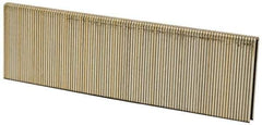 Porter-Cable - 1-1/2" Long x 1/4" Wide, 18 Gauge Narrow Crown Construction Staple - Grade 2 Steel, Galvanized Finish - Apex Tool & Supply