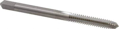 Made in USA - #10-24 UNC 2B/3B 4 Flute Bright Finish Solid Carbide Straight Flute Standard Hand Tap - Plug, Right Hand Thread, 2-3/8" OAL, 7/8" Thread Length, H3 Limit, Oversize - Apex Tool & Supply