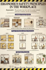 NMC - 24" Wide x 36" High Laminated Paper Ergonomics Information Poster - English - Apex Tool & Supply