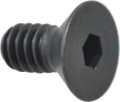 Holo-Krome - 1/4-20 UNC Hex Socket Drive, 82° Flat Screw - Alloy Steel, Black Oxide Finish, Fully Threaded, 1/2" OAL - Apex Tool & Supply