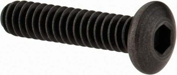 Holo-Krome - #10-24 UNC Hex Socket Drive, Button Screw - Alloy Steel, Black Oxide Finish, Fully Threaded, 7/8" Length Under Head - Apex Tool & Supply