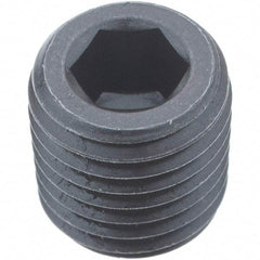 Holo-Krome - 1/16-27, 5/16" OAL, Alloy Steel Socket Pressure Plug - 3/4" Taper per Foot, 5/32" Hex Key - Apex Tool & Supply