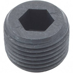 Holo-Krome - 3/8-18, 1/2" OAL, Alloy Steel Socket Pressure Plug - 3/4" Taper per Foot, 5/16" Hex Key - Apex Tool & Supply