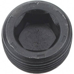 Holo-Krome - 3/4-14, 17/32" OAL, Alloy Steel Socket Pressure Plug - 7/8" Taper per Foot, 9/16" Hex Key - Apex Tool & Supply