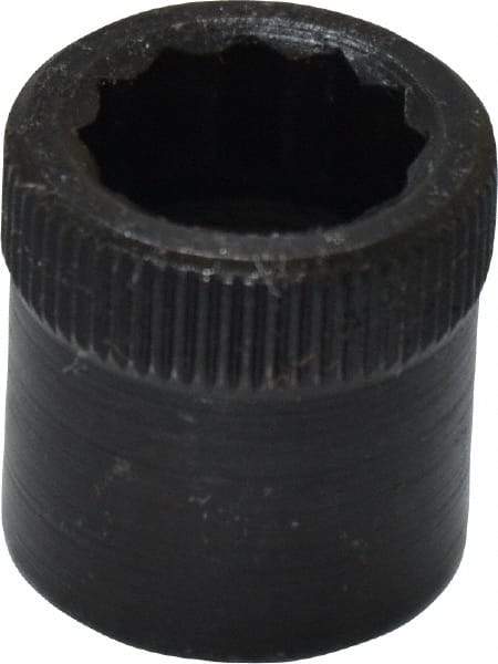 Holo-Krome - 3/8-24" Thread Uncoated Steel Allen Nut - 3/8" Diam, 3/8" Hex Key - Apex Tool & Supply