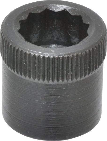 Holo-Krome - 7/16-20" Thread Uncoated Steel Allen Nut - 7/16" Diam, 7/16" Hex Key - Apex Tool & Supply