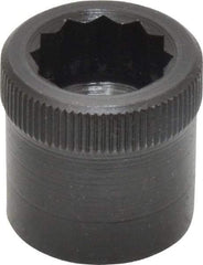 Holo-Krome - 5/8-11" Thread Uncoated Steel Allen Nut - 5/8" Diam, 5/8" Hex Key - Apex Tool & Supply