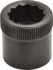 Holo-Krome - 3/4-10" Thread Uncoated Steel Allen Nut - 3/4" Diam, 3/4" Hex Key - Apex Tool & Supply