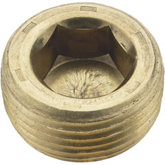 Holo-Krome - 3/4-14, 17/32" OAL, Brass Socket Pressure Plug - Apex Tool & Supply