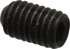 Holo-Krome - #10-32 UNF, 5/16" OAL, Cup Point Set Screw - Grade 8 Alloy Steel, 3/32" Key - Apex Tool & Supply