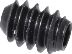 Holo-Krome - #6-32 UNC, 3/16" OAL, Cup Point Set Screw - Grade 8 Alloy Steel, 1/16" Key - Apex Tool & Supply