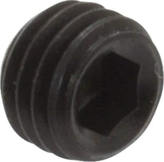 Holo-Krome - 1/4-28 UNF, 3/16" OAL, Cup Point Set Screw - Grade 8 Alloy Steel, 1/8" Key - Apex Tool & Supply