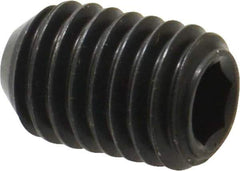 Holo-Krome - 1/2-13 UNC, 3/4" OAL, Cup Point Set Screw - Grade 8 Alloy Steel, 1/4" Key - Apex Tool & Supply