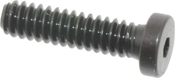Holo-Krome - #10-24 UNC Hex Socket Drive, Low Socket Cap Screw - Alloy Steel, Black Oxide Finish, Fully Threaded, 3/4" Length Under Head - Apex Tool & Supply