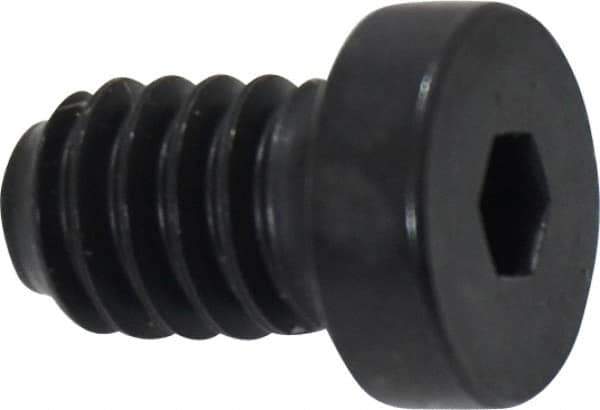 Holo-Krome - 1/4-20 UNC Hex Socket Drive, Low Socket Cap Screw - Alloy Steel, Black Oxide Finish, Fully Threaded, 3/8" Length Under Head - Apex Tool & Supply