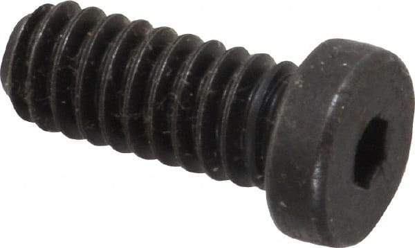 Holo-Krome - 1/4-20 UNC Hex Socket Drive, Low Socket Cap Screw - Alloy Steel, Black Oxide Finish, Fully Threaded, 5/8" Length Under Head - Apex Tool & Supply