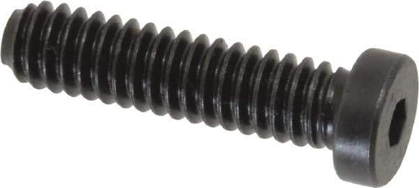 Holo-Krome - 1/4-20 UNC Hex Socket Drive, Low Socket Cap Screw - Alloy Steel, Black Oxide Finish, Fully Threaded, 1" Length Under Head - Apex Tool & Supply