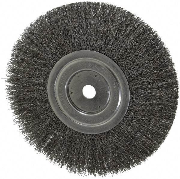 Weiler - 8" OD, 5/8" Arbor Hole, Crimped Steel Wheel Brush - 1/2" Face Width, 2-1/16" Trim Length, 0.0118" Filament Diam, 6,000 RPM - Apex Tool & Supply