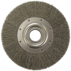 Weiler - 12" OD, 2" Arbor Hole, Crimped Steel Wheel Brush - 2" Face Width, 2-7/8" Trim Length, 0.0118" Filament Diam, 3,000 RPM - Apex Tool & Supply