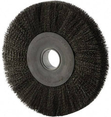 Weiler - 12" OD, 2" Arbor Hole, Crimped Steel Wheel Brush - 2" Face Width, 2-7/8" Trim Length, 0.014" Filament Diam, 3,000 RPM - Apex Tool & Supply