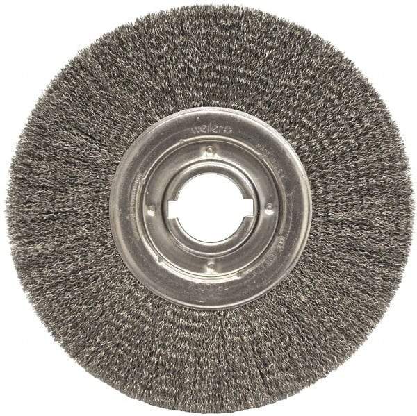 Weiler - 12" OD, 2" Arbor Hole, Crimped Steel Wheel Brush - 1-1/4" Face Width, 3" Trim Length, 0.0118" Filament Diam, 3,600 RPM - Apex Tool & Supply