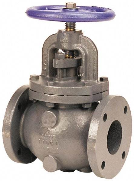 NIBCO - 8" Pipe, Flanged Ends, Iron Renewable Globe Valve with Bypass - Bronze Disc, Bolted Bonnet, 200 psi WOG, 125 psi WSP, Class 125 - Apex Tool & Supply