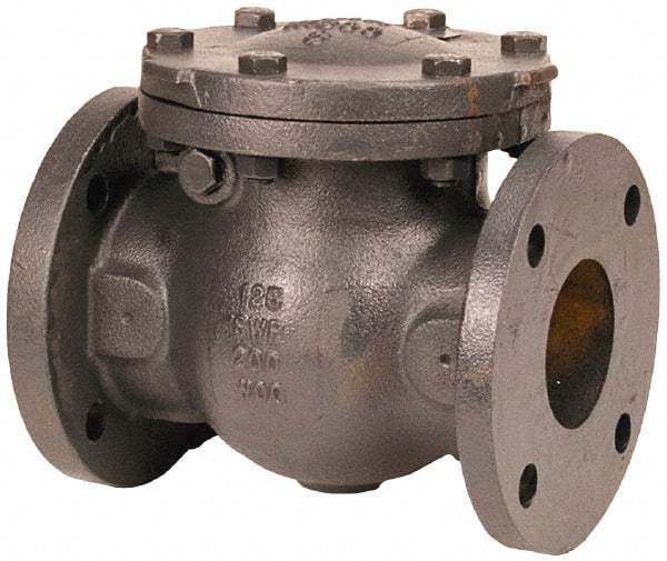 NIBCO - 2" 3% Nickel Check Valve - Flanged, 200 WOG - Apex Tool & Supply