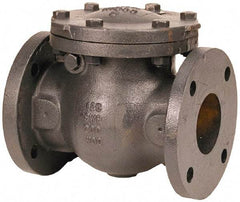 NIBCO - 8" Cast Iron Check Valve - Flanged, 200 WOG - Apex Tool & Supply