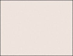 CleanTeam - Anti-Static & Clean Room Paper Color: White Length (Inch): 11 - Apex Tool & Supply