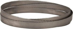 Lenox - 4 to 6 TPI, 11' 6" Long x 1-1/4" Wide x 0.042" Thick, Welded Band Saw Blade - Bi-Metal, Toothed Edge, Raker Tooth Set, Flexible Back - Apex Tool & Supply