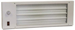 TPI - 22-3/4" Long, 580 BTU Radiant Heat Panel - 120 Volts, 170 Watts - Apex Tool & Supply