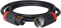 Cooper Wiring Devices - 50', 6/4 Gauge/Conductors, Black Industrial Extension Cord - 1 Receptacle, 50 Amps, 125/250 VAC, UL SOOW, NEMA 14-30R - Apex Tool & Supply