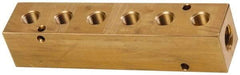 Made in USA - 1/2" Inlet, 3/8" Outlet Manifold - 6-3/4" Long x 1-1/2" Wide x 1-1/2" High, 0.2" Mount Hole, 2 Inlet Ports, 6 Outlet Ports - Apex Tool & Supply
