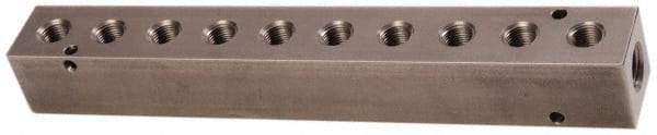 Made in USA - 1/4" Inlet, 1/8" Outlet Manifold - 7-3/4" Long x 1" Wide x 1" High, 0.17" Mount Hole, 2 Inlet Ports, 10 Outlet Ports - Apex Tool & Supply