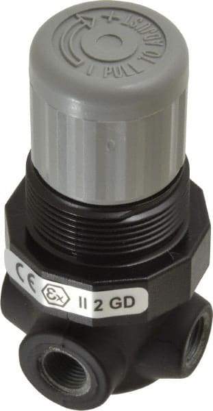 Norgren - 1/8" NPT Relief Valve - 0.7 CV Rate, 21 CFM, 100 Max psi, Knob Adjustment Actuator - Apex Tool & Supply