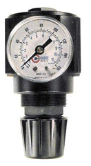 Coilhose Pneumatics - 1/2 NPT Port, 120 CFM, Cast Aluminum Standard Regulator - 0 to 60 psi Range, 250 Max psi Supply Pressure, 1/4" Gauge Port Thread, 2-3/4" Wide x 5-1/2" High - Apex Tool & Supply