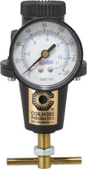 Coilhose Pneumatics - 3/8 NPT Port, 40 CFM, Cast Aluminum Heavy-Duty T-Handle Regulator - 0 to 125 psi Range, 250 Max psi Supply Pressure, 1/4" Gauge Port Thread, 3" Wide x 5-1/2" High - Apex Tool & Supply