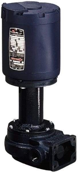 Graymills - 115 Volt, 1/6 hp, 1 Phase, 3,450 RPM, Cast Iron Flanged Outside Suction Machine Tool & Recirculating Pump - 7-1/2" Long x 4-1/2" Mounting Flange Width, NPT Thread, Glass Filled Celcon Impeller - Apex Tool & Supply