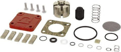 Tuthill - Repair Part Kit - For Use with Diaphragm Pumps - Apex Tool & Supply