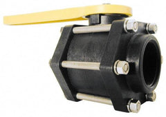 Green Leaf - 3" Pipe, Full Port, Polypropylene Standard Ball Valve - 3 Piece, Inline - One Way Flow, FNPT x FNPT Ends, Lever Handle, 100 WOG - Apex Tool & Supply