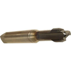 Emuge - 1/4-28 UNF 2BX 3 Flute TiCN Finish Cobalt Straight Flute Machine Tap - Modified Bottoming, Right Hand Thread, 3.15" OAL, 0.669" Thread Length, Oversize - Apex Tool & Supply