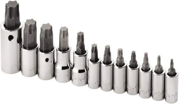 SK - 12 Piece 1/4, 3/8 & 1/2" Drive Torx Bit Socket Set - T10 to T60 Torx - Apex Tool & Supply