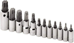 SK - 12 Piece 1/4, 3/8 & 1/2" Drive Torx Bit Socket Set - T10 to T60 Torx - Apex Tool & Supply
