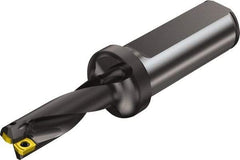 Sandvik Coromant - 39mm Max Drill Depth, 3xD, 12mm Diam, Indexable Insert Drill - 2 Inserts, 20mm Shank Diam, Flange Shank - Apex Tool & Supply