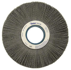 Weiler - 8" OD, 2" Arbor Hole, Crimped Nylon Wheel Brush - 1" Face Width, 2-1/4" Trim Length, 0.022" Filament Diam, 3,600 RPM - Apex Tool & Supply